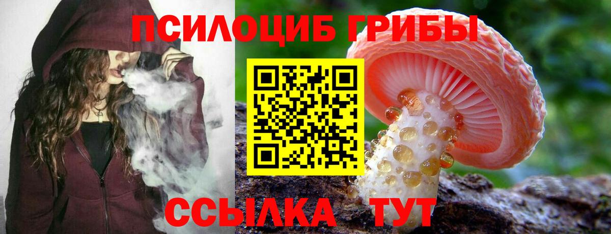 Галлюциногенные грибы Psilocybine cubensis Кыштым